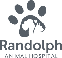 Randolph Animal Hospital logo