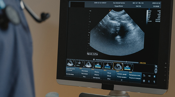 Vets with ultrasound near hot sale me