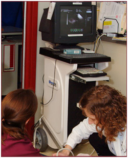 vets performing a pet ultrasound on a pet